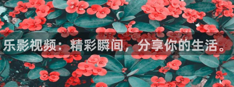 熊猫的电视的价格：乐影视频：精彩瞬间，分享你的生活。