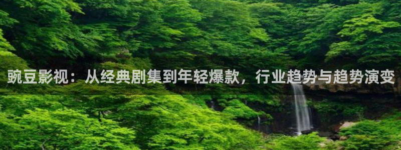 关于熊猫的电影：豌豆影视：从经典剧集到年轻爆款，行业趋势与趋势演变