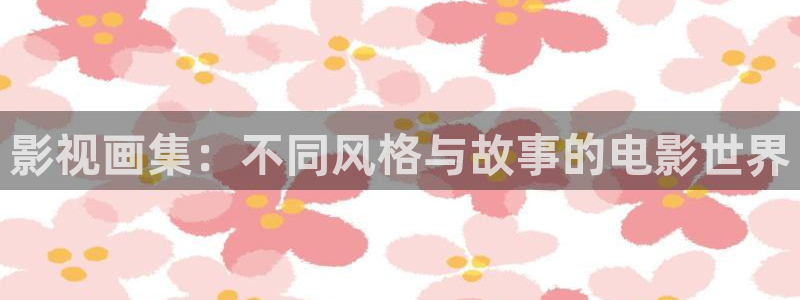 大熊猫电影：影视画集：不同风格与故事的电影世界