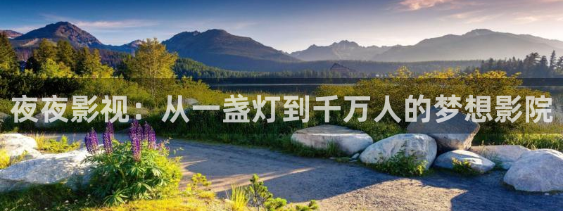 熊猫影院在线观看电影：夜夜影视：从一盏灯到千万人的梦想影院