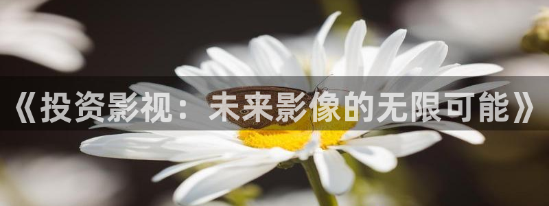 熊猫电视专卖：《投资影视：未来影像的无限可能》
