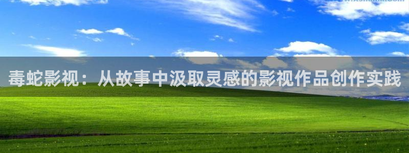熊猫老师：毒蛇影视：从故事中汲取灵感的影视作品创作实践