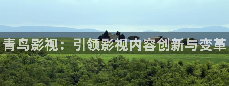 熊猫电影yy8y3免费看哪里：青鸟影视：引领影视内容创新与变革