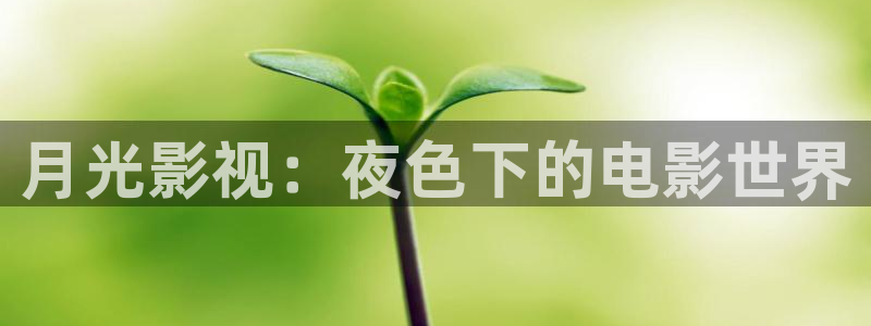 熊猫电视的价格：月光影视：夜色下的电影世界