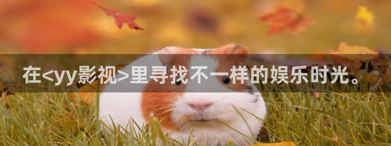 熊猫电影yy8y3全集哪里看：在<yy影视>里寻找不一样的娱乐时光。
