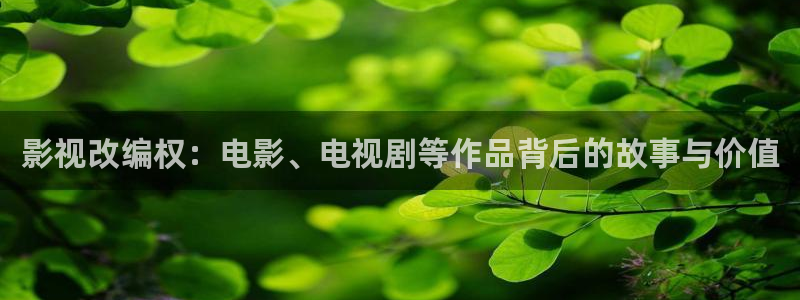 熊猫视频：影视改编权：电影、电视剧等作品背后的故事与价值