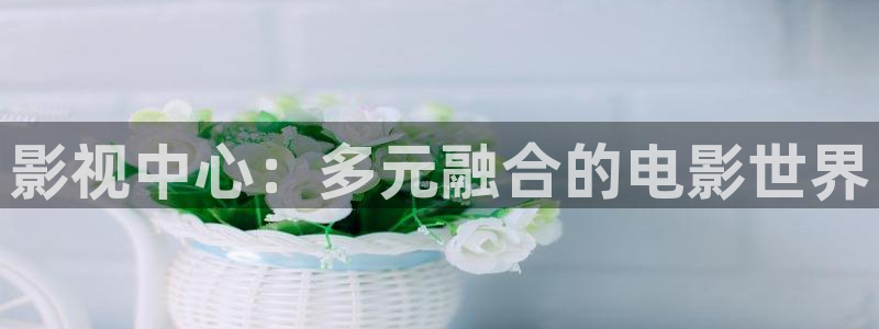 熊猫电视多少钱：影视中心：多元融合的电影世界