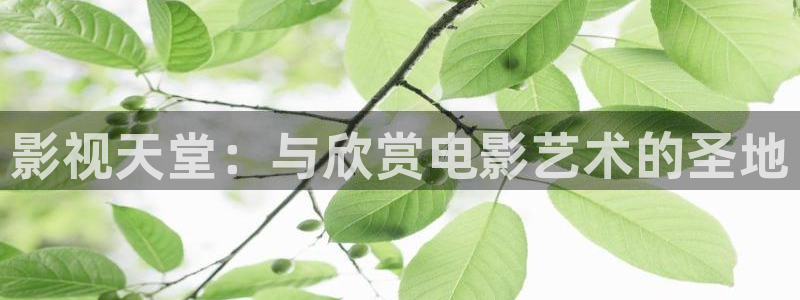 熊猫影院在线：影视天堂：与欣赏电影艺术的圣地