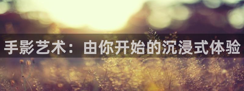 熊猫酒店多少元：手影艺术：由你开始的沉浸式体验